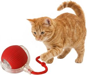 Balle de jeu pour chat automatique rechargeable en ABS et silicone, durable et résistante aux morsures, pour intérieur et extérieur, en carton - Product Image 1