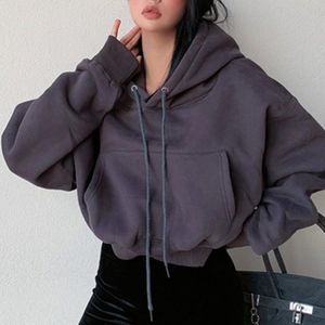 Sudadera con Capucha para Mujer, Manga Larga, Otoño Invierno, Ropa de Calle, Logotipo con Transferencia Térmica, OEM - Product Image 2