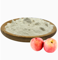 Premium Natuurlijk Gedroogd Appelpoeder Rijk aan Pectine Bulk Voedingsmiddelkwaliteit Fruit Grondstof voor Voedselverwerking