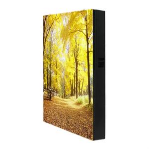 La cina xxx e il video xxx shenzhen hanno condotto la pubblicità del grande schermo video all'aperto - Product Image 4