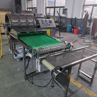 Machine automatique compacte pour la fabrication de rouleaux de printemps, de feuilles de lumpia philippines et d'injera éthiopien, en acier inoxydable de qualité alimentaire