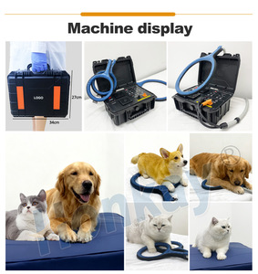 Appareil PEMF pratique pour animaux, améliore la circulation sanguine locale, réduit la raideur et améliore la vitalité - Product Image 6