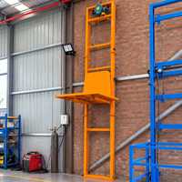 Monte-charge électrique vertical pour marchandises, petit élévateur de fret 220V/380V en acier haute résistance 300kg/500kg pour entrepôt