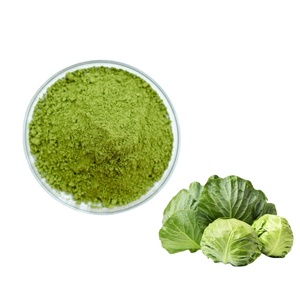 Polvo de Jugo de Col Verde 100% Puro al por Mayor, Extracto Herbal de Grado Alimenticio, Vitamina, Certificado Halal/Kosher, Envasado al Vacío en Tambor - Product Image 1