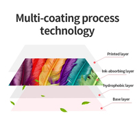 Papel Fotográfico MINI en Oferta, Papel de Transferencia de Sublimación de Alta Calidad, Película PET DTF para Ropa Clara, A4/A3, 100 Hojas