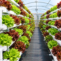 Système hydroponique automatique NFT Skyplant de grande taille avec pompe pour l'agriculture écologique et le jardinage vertical