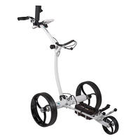 Voiturette de golf électrique 12V DC, véhicule de tourisme abordable pour le transport sur les terrains de golf, les centres de villégiature et les parcs