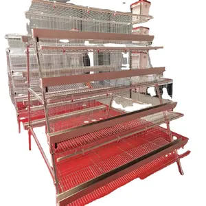 hot sale 5 tiers 200 chickens Poultry farm equipment automatic battery design layer chicken cage