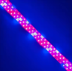 Ensemble de machine à fabriquer des bandes lumineuses étanches pour l'extérieur Kit de bandes lumineuses néon rvb silicone 5054 24v 220v LED pour voiture - Product Image 5