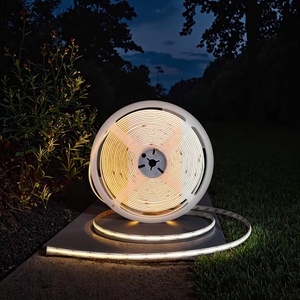 ไฟเชือกสี 24V 10 เมตร สำหรับตกแต่งภายในบ้าน ตัดได้ ยืดหยุ่น ไฟ LED แบบเส้น สำหรับตกแต่งคริสต์มาสและวันหยุด - Product Image 1