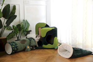 Tunnel pour chat pliable et repliable, tunnel de jeu interactif pour chat avec balle, tunnel de jeu d'intérieur pour chaton - Product Image 4