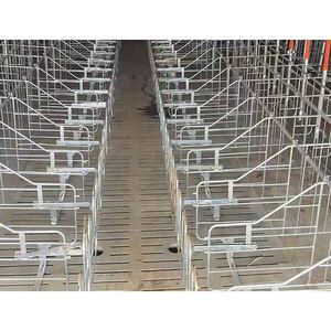 Chinese Factory Supply Customized for Sow Comfortable Pig Gestation Crate Gestation <b>Cage</b> - Product Image 3