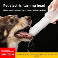 Hydropulseur Électrique Portable Personnalisable en ABS pour Animaux de Compagnie, Gadget Transfrontalier à Activation/Arrêt en un Clic pour Nettoyer la Bouche de Votre Chien