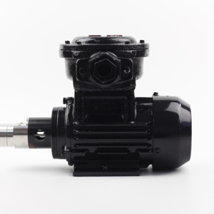 Bơm Động Cơ 180W Chống Nổ Thiết Bị Y Tế Bơm Bánh Răng Truyền Động Từ Tính Bơm Bánh Răng Hóa Chất Kháng Vi Mô AC Cao Cấp - Product Image 1