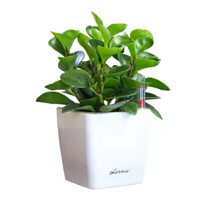 Mini pots de fleurs plantes, en plastique, pour bureau, auto-arrosage, petit pot de plantes moderne, vente en gros, économique,