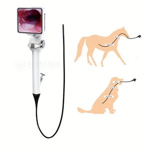 P029-3 Portable Flexible Endoscope Vétérinaire Bronchoscope Processeur À Usage Unique + Source Lumineuse + Moniteur Instrument Vétérinaire - Product Image 1