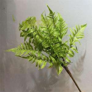 En çok satan yüksek kalite farsça yaprak ev ve düğün dekor yapay plastik yapraklar buket Fern bırakır - Product Image 4