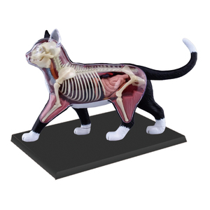 Modelos Anatómicos 4D de Animales para Uso Médico, Modelos de Órganos Internos de Gato, Perro, <span class=keywords><strong>Cerdo</strong></span>, Vaca y Caballo, Regalo Científico para Niños - Product Image 2