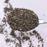 Feuilles de Mélisse Officinalis Séchées Vertes en Gros de Haute Qualité – Herbes Aromatiques Sèches Vertes (Melissa Officinalis TBC)