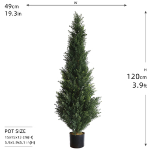 Cây Bách Nhân Tạo Cao Cây Bách Gỗ Hoàng Dương Cỏ Nhân Tạo Cây Bách - Product Image 2