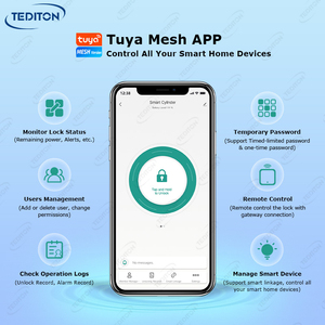 Thông Minh Thông Minh Phong Cách Châu Âu Hợp Kim Kỹ Thuật Số Tuya Mật Khẩu Tự Động Keyless Cửa Khóa Nhà Chốt Cửa Xi Lanh Cửa Khóa - Product Image 4