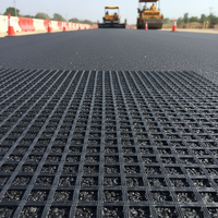 Geogrid de Fibra de Vidrio Recubierta de Betún de Alta Tenacidad, Marca Born, Resistencia a la Tracción de 100KN, Garantía de 3 Años para Carreteras Asfaltadas