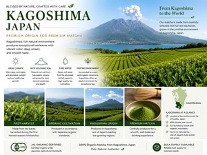 Fournisseurs de poudre de thé vert matcha biologique de première récolte de Kagoshima, qualité supérieure, en vrac, du Japon - Product Image 6