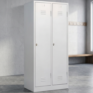 Wholesale Two Door Steel Locker <b>Cabinet</b> for Worker Camp Dormitory Factory Staff Changing Room Use - Product Image 2
