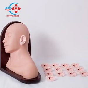 HC-S552 Advanced Ear Examination Model Human Silicone Outer and Middle Ear Model - Product Image 6