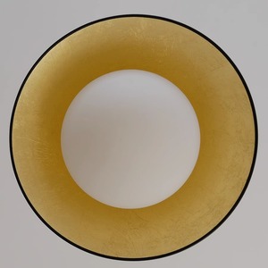 Black Gold Foil Ceiling Light Led 30cm For Living Room Bedroom - Product Image 3