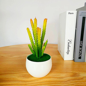 Plante succulente artificielle en pot, 6 longues et 6 courtes, cactus bonsai en PVC souple, ornement de bureau - Product Image 1