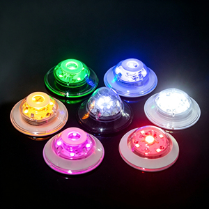 Bouteille LED Lumineuse à Piles Thème ROMANCE, Étanche, Multicolore, Haute Luminosité, Personnalisable avec Logo, Vente en Gros - Product Image 1