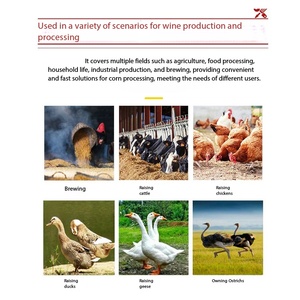 Nuevo Tipo de Trituradora de Maíz y Cacahuetes Reforzada, Adecuada para Alimento Animal. - Product Image 4