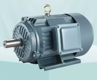 Moteur servo synchrone à aimants permanents (PMSM) à entraînement direct, à couple élevé et faible vitesse, personnalisé Dormay, efficacité IE4, cadre 250 mm
