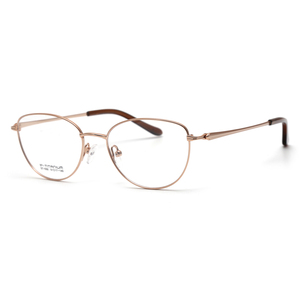 Phụ Nữ Xu Hướng Mới Titan Khung Cảnh Tượng Thời Trang Kính Cho Ladys - Product Image 1