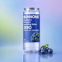 Eau gazeuse aux myrtilles sauvages BENNONE, sans sucre ajouté, antioxydante, boisson fruitée pétillante, 300 ml, canette individuelle, OEM ODM