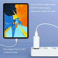 Cargador GaN PD QC3.0 de 30W Personalizado de Fábrica ODM, Enchufe Europeo, Aprobado por CE, Mini Cargador de Viaje de Carga Rápida para Cámara y Auriculares
