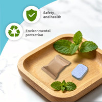 Tablettes Moussantes Désodorisantes et Nettoyantes Efficaces pour Broyeurs de Déchets et Canalisations, Écologiques, Marque Privée Personnalisée Totclean