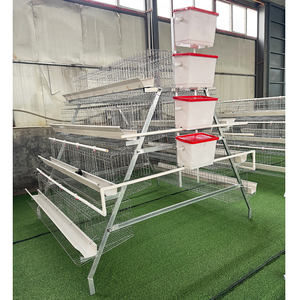 Prix des cages à poulets commerciales, <span class=keywords><strong>type</strong></span> 3/4 niveaux, cages à poules pondeuses, cages à poulets en batterie pour les élevages avicoles en Afrique du Sud - Product Image 1