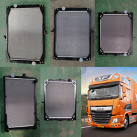 Radiador del Sistema de Refrigeración del Motor 1326966/1617340/1617341 para DAF XF95 1997-2001, Repuesto de Posventa