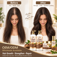 Ensemble shampoing et après-shampoing végétaliens personnalisés Chebe pour la croissance des cheveux, réparation des cheveux abîmés, sans sulfate, antipelliculaire