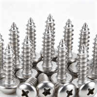 Vis autotaraudeuses à tête cruciforme en acier inoxydable SS304 durables, accessoires de quincaillerie