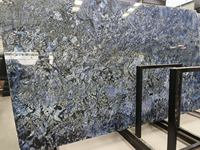 Bon prix Dalles de sodalite en granit bleu Azul Bahia poli Carreaux pour comptoirs de cuisine Plateaux de vanité et escaliers Forme de grande dalle