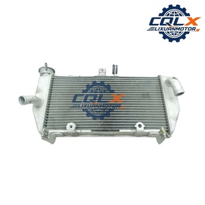 Accesorios para Motocicleta CQLX, Radiador <span class=keywords><strong>de</strong></span> Aluminio para Tanque <span class=keywords><strong>de</strong></span> <span class=keywords><strong>Agua</strong></span> para <span class=keywords><strong>YAMAHA</strong></span> YZF-R15 V3 <span class=keywords><strong>2018</strong></span>-2023 BG7E246001 - Product Image 3