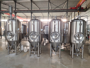 Fermentatore Conico Sanitario con Giacca Termica, Garanzia di 5 Anni, 220V, <span class=keywords><strong>Dimensioni</strong></span> Personalizzabili per Fermentazione di Birra Artigianale e Vino alla Frutta - Product Image 4