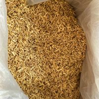 Vente en gros de gingembre séché 100% naturel de Chine, tranches de gingembre séché instantanément, poudre de racines de gingembre et granulés de gingembre déshydratés, bandes de gingembre