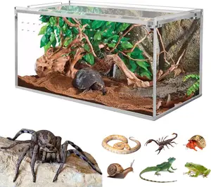 Custom Reptile Display Showcase Acrylic Tarantula Enclosure Terrarium With Magnetic Button