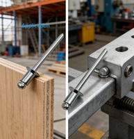Rivets aveugles en aluminium sur mesure, non standard, pour l'industrie des armoires électriques