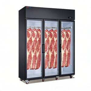 Amplia Gama de Usos: Congeladores, Refrigeradores y Refrigeradores Comerciales para la Industria Hotelera - Product Image 6