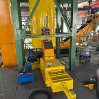 3tph Industriële Kant-En-Klare Palmolieverwerkingsfabriek Voor Productie-Installatie Voor Het Maken Van Rode Palmfruitolie